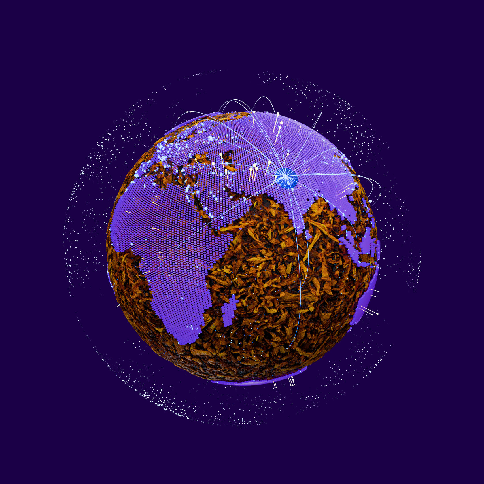 https://quokka.global/wp-content/uploads/2024/11/banner-image.jpg